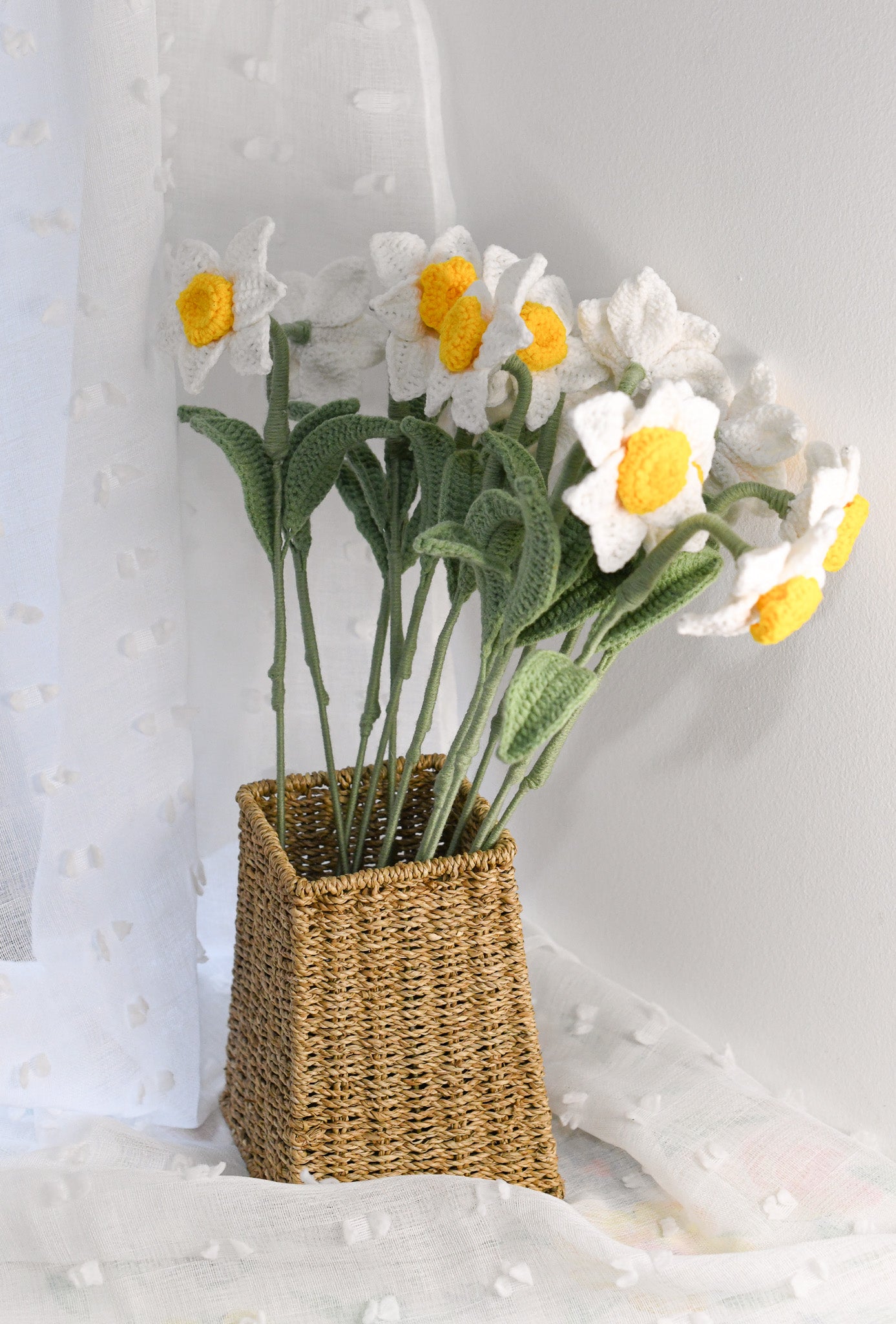Narcissus December