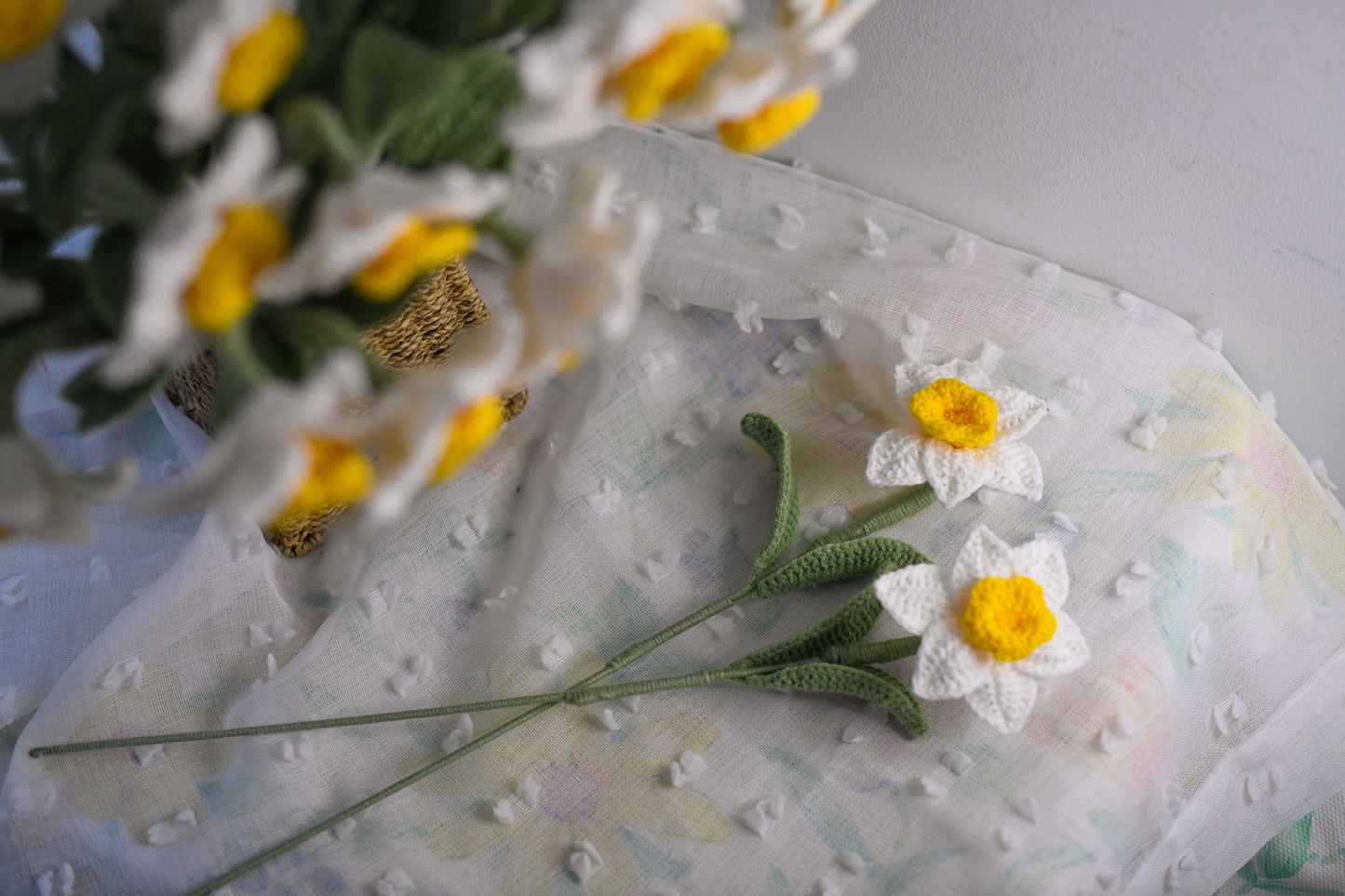 Narcissus December