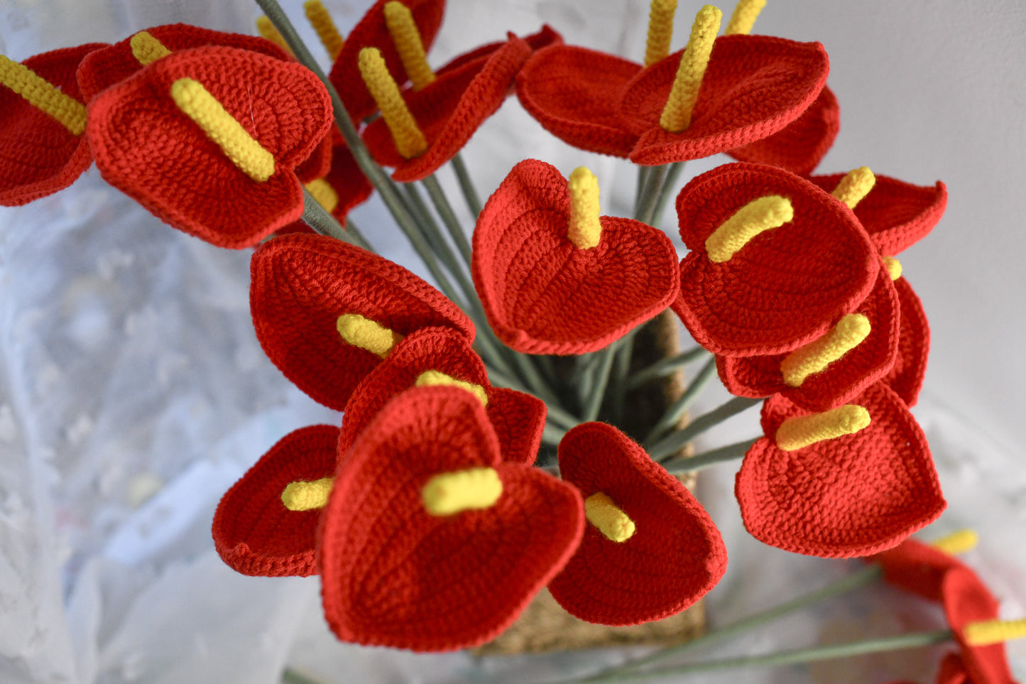 Anthurium
