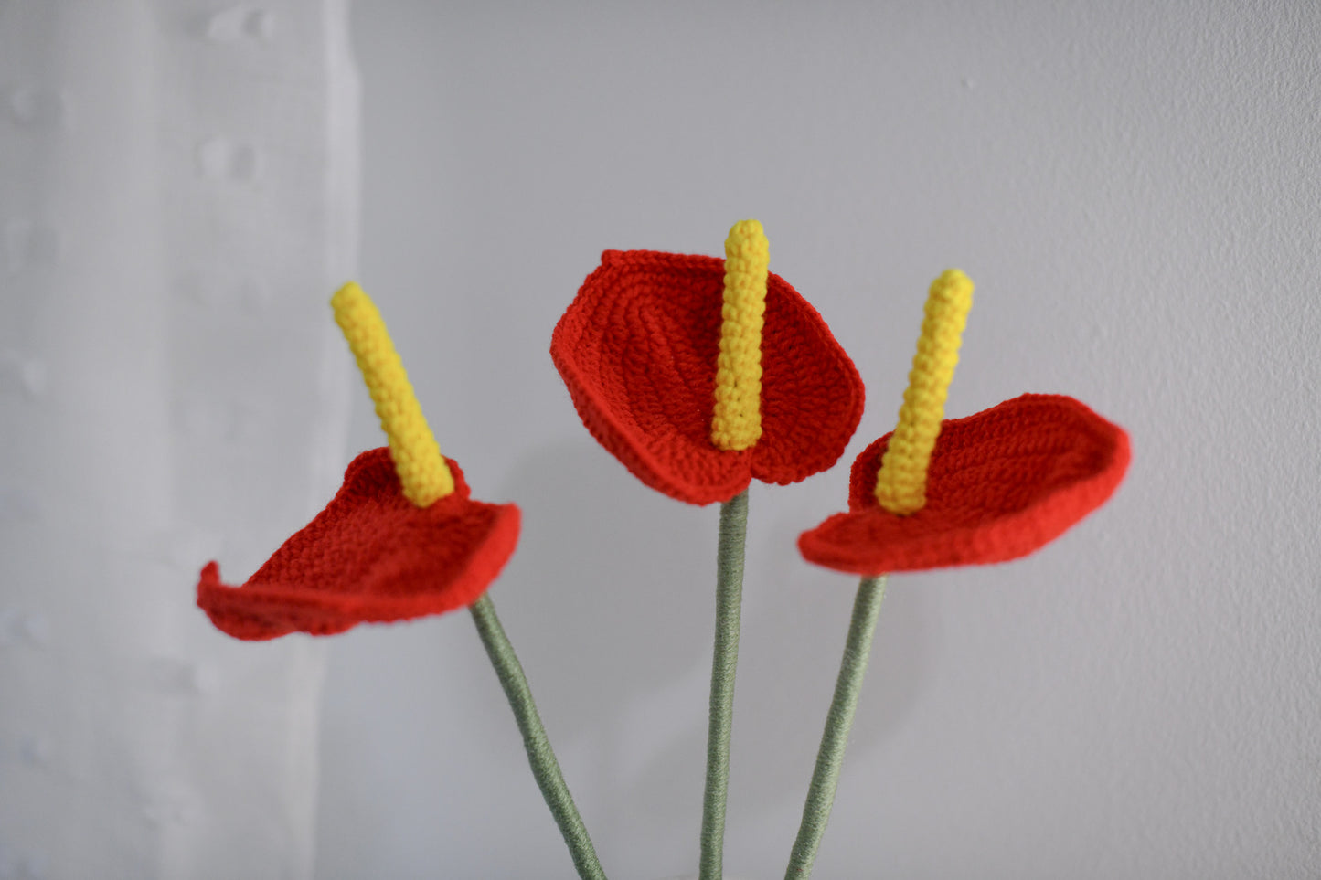 Anthurium