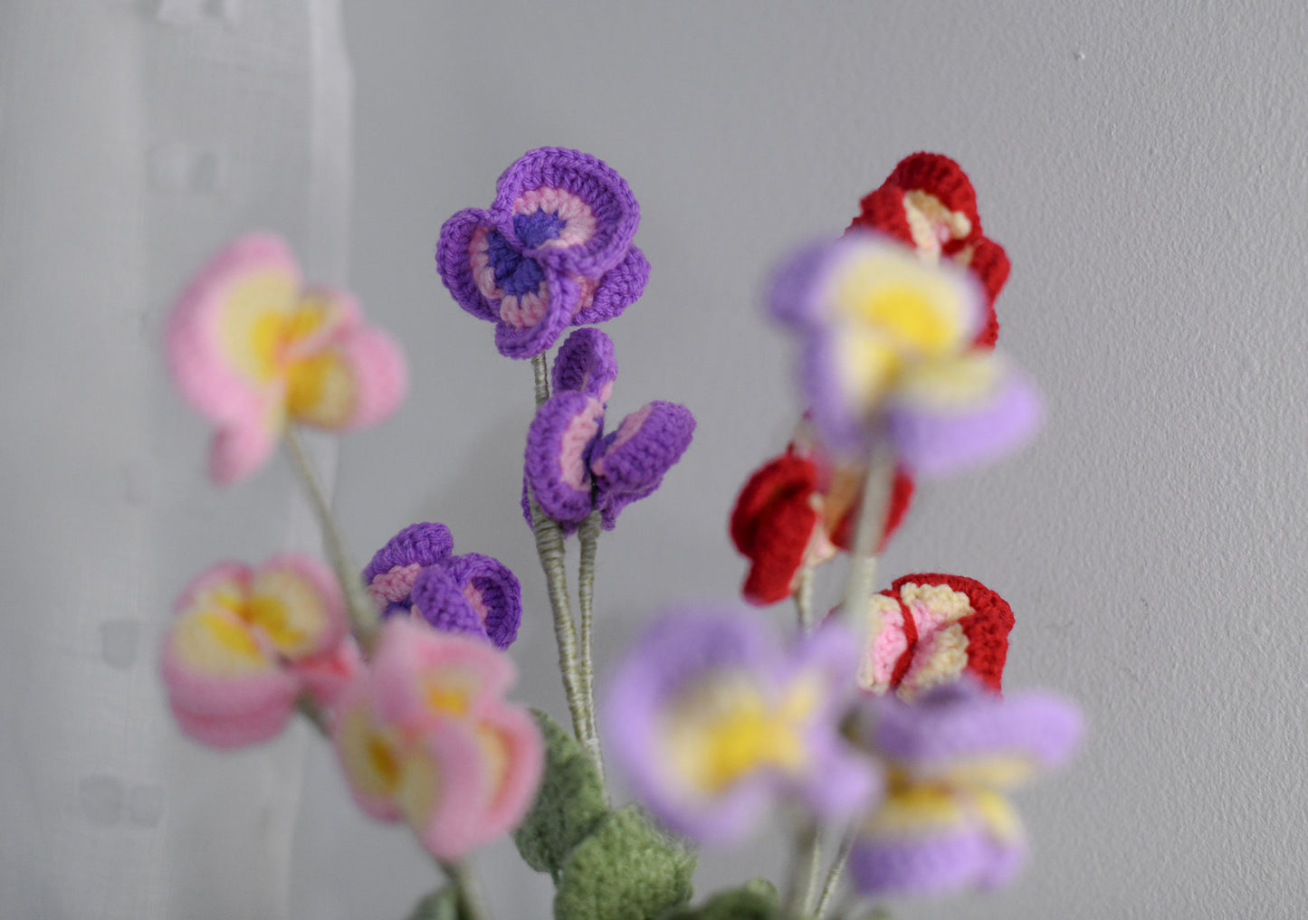 Violet February
