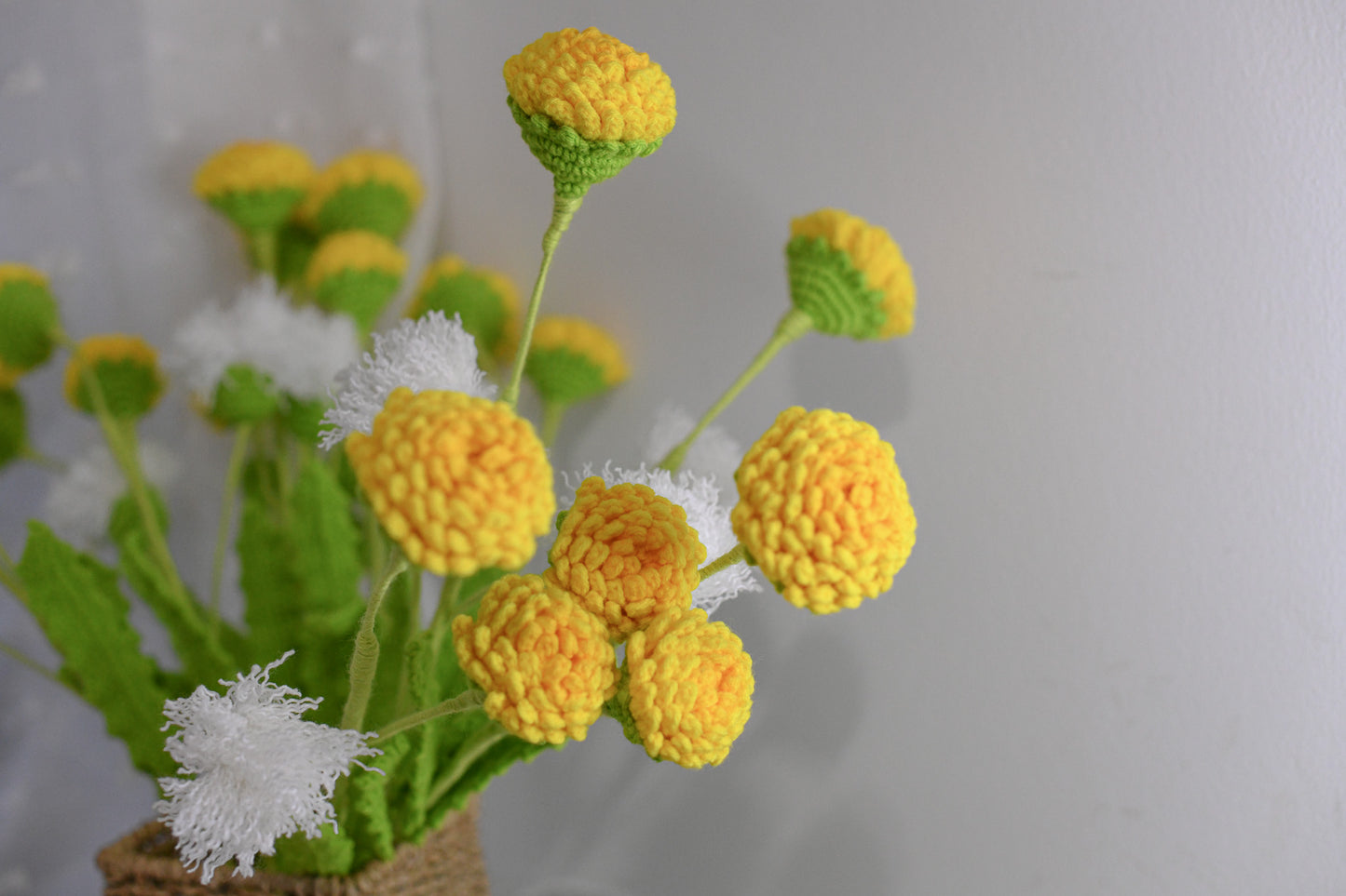 Dandelion