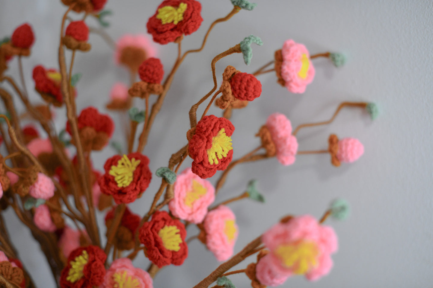 Plum Blossom