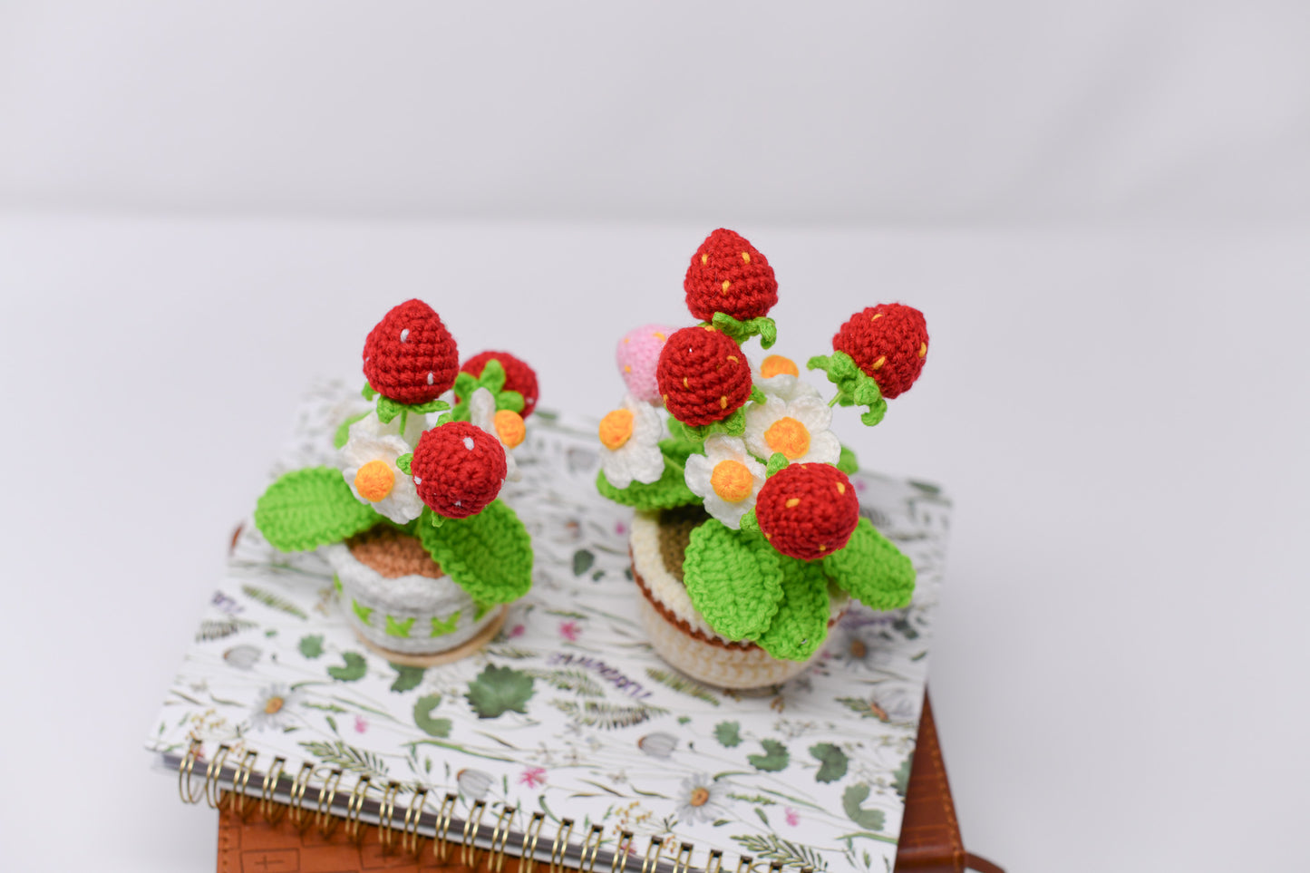 Strawberry Pot