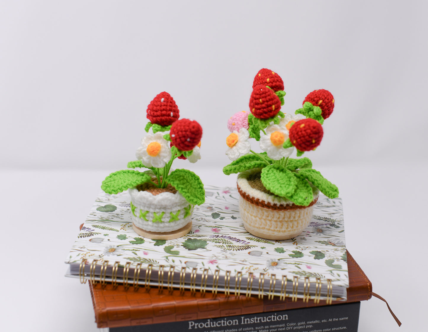 Strawberry Pot