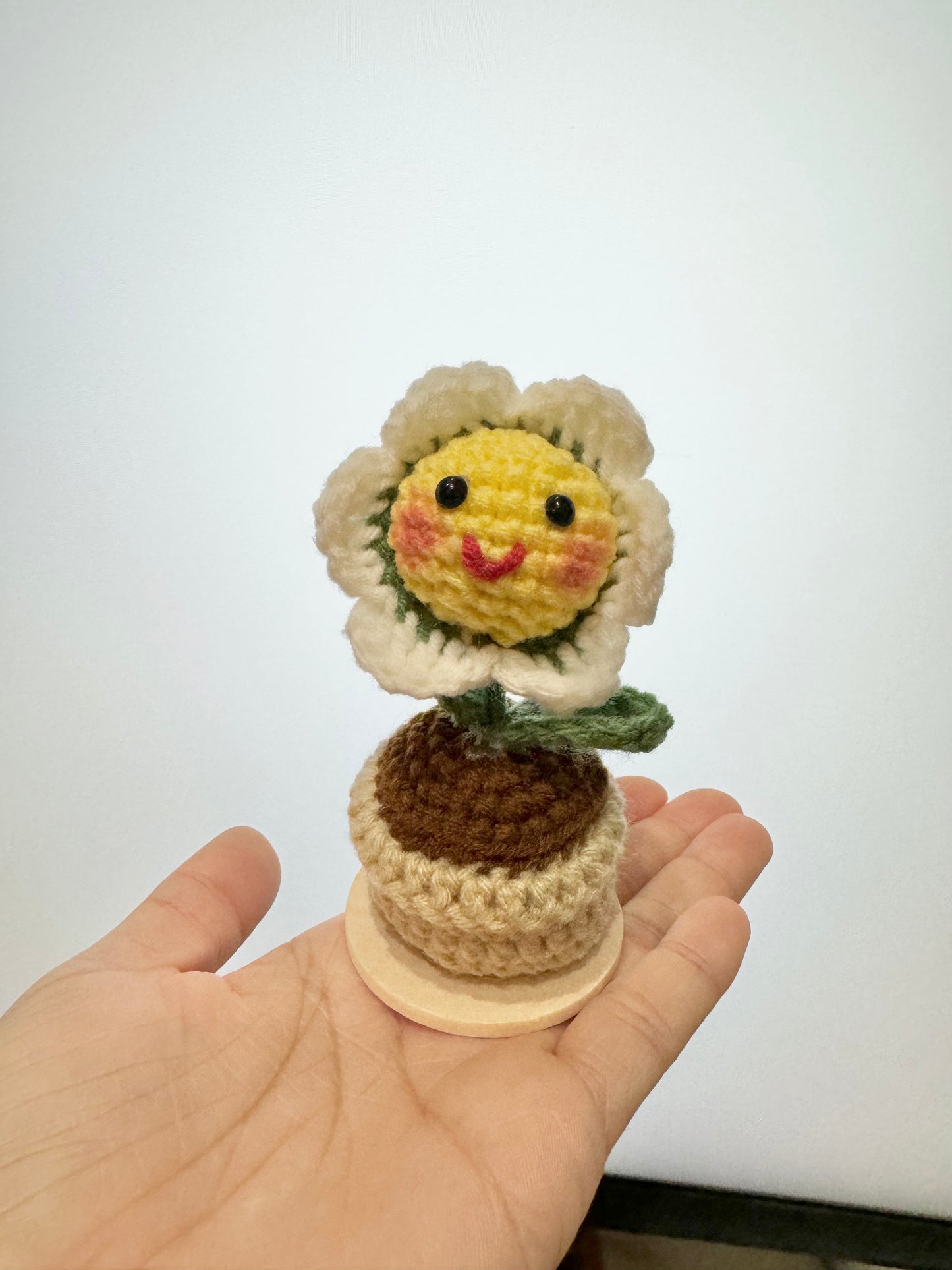 Smile White Daisy Pot